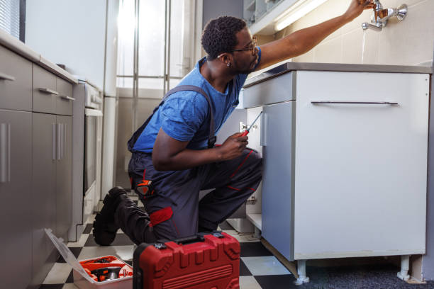 Best Garbage Disposal Repair and Installation  in Champion Heights, OH